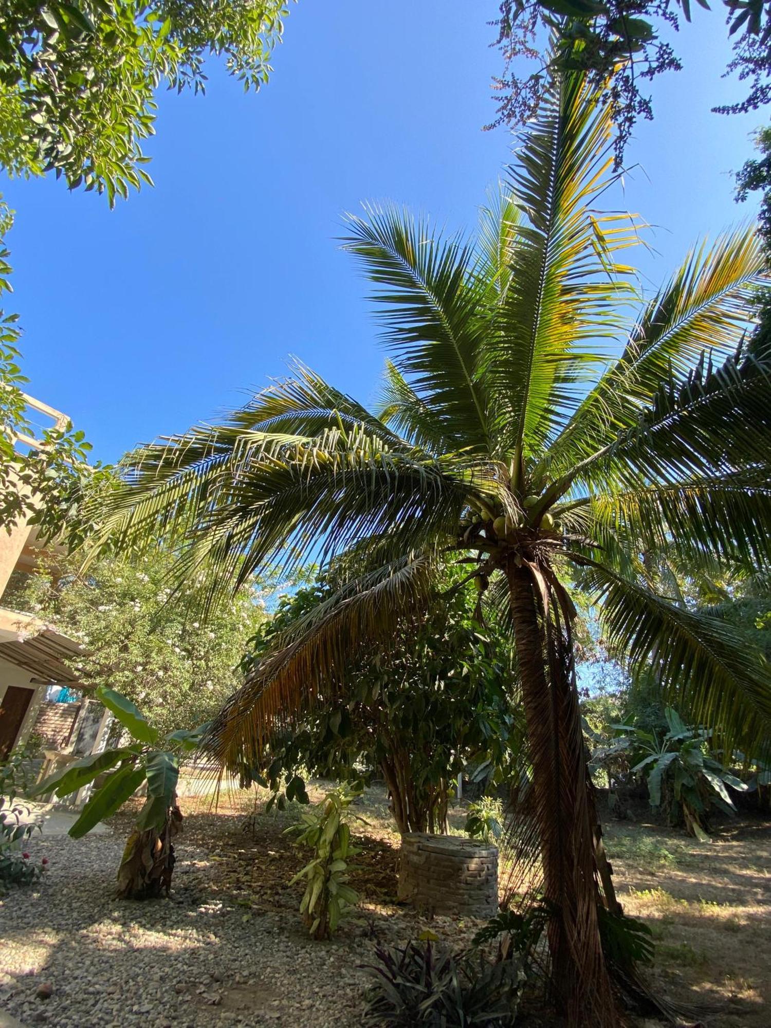 Casa Mia Alojamento de Turismo Selvagem *